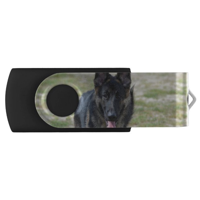 Young German Shepherd USB Flash Drive (Front)