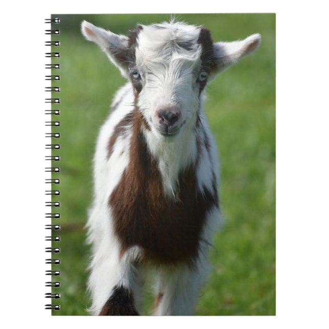 Young Goat photograph Notebook (Front)