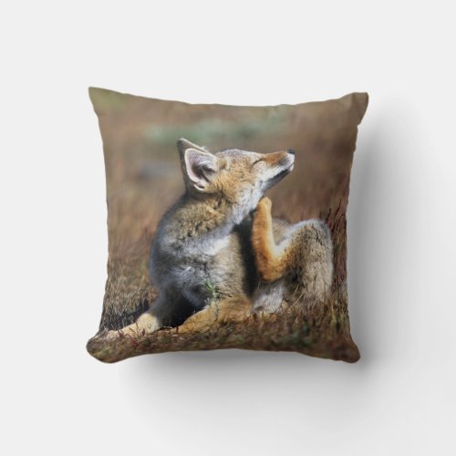 Young Gray Fox at Torres Del Paine National Park Throw Pillow