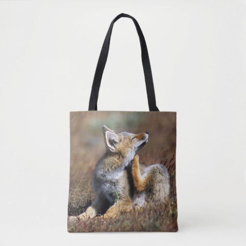 Young Gray Fox at Torres Del Paine National Park Tote Bag
