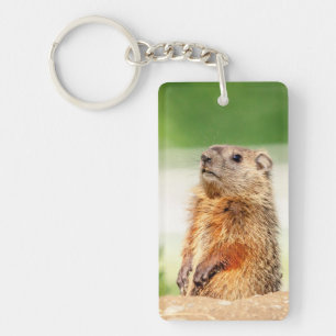 Young Groundhog Keychain