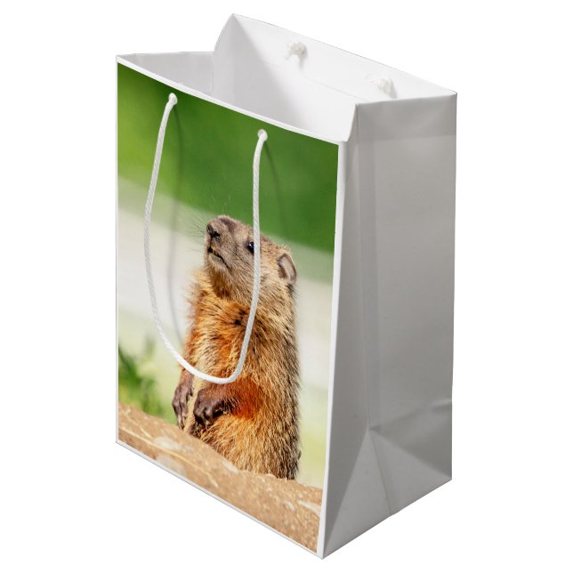 Young Groundhog Medium Gift Bag (Front Angled)