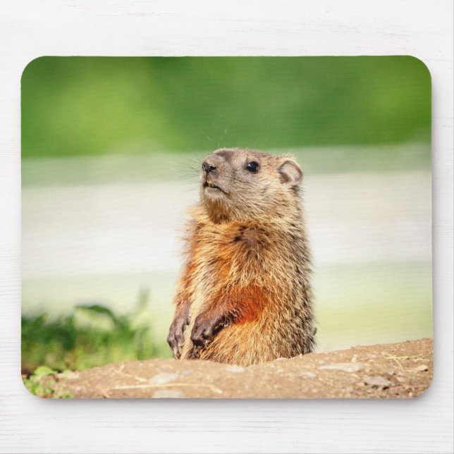 Young Groundhog Mouse Pad (Front)