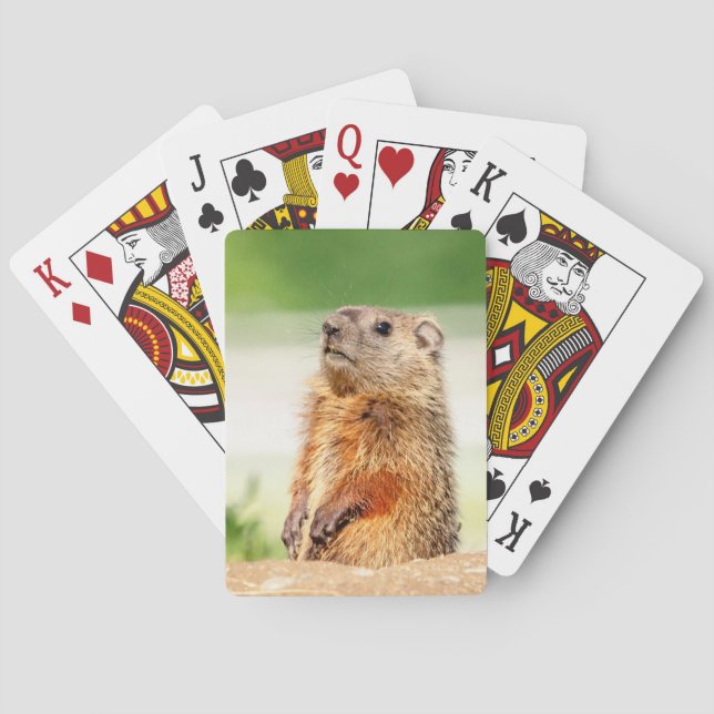 Young Groundhog Poker Cards (Back)