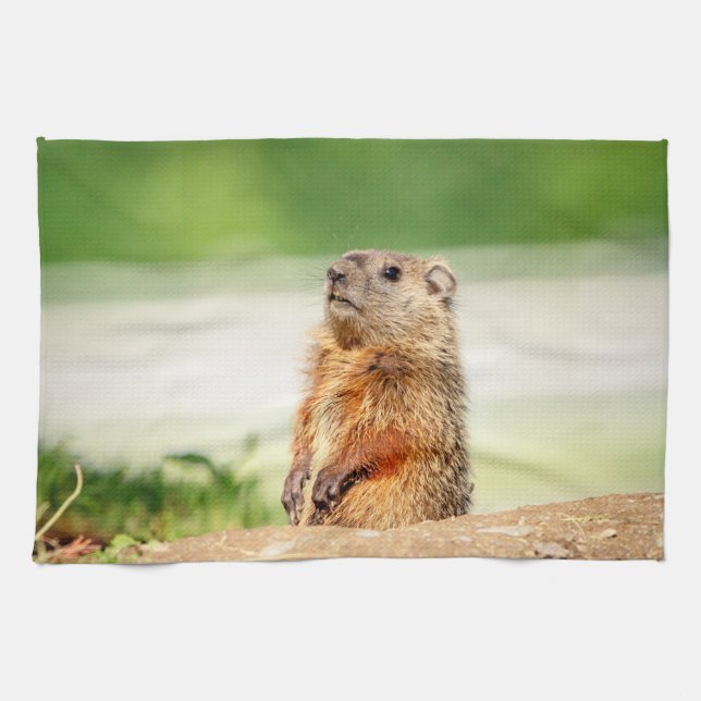 Young Groundhog Towel (Horizontal)