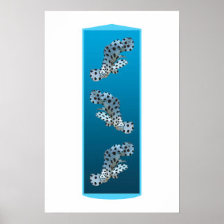 Young Grouper - Design gradient blue background |  Poster