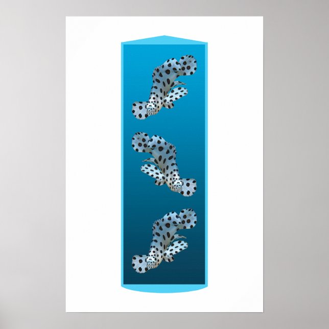 Young Grouper - Design gradient blue background |  Poster (Front)