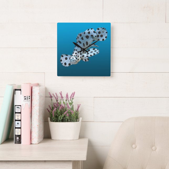 Young Grouper - Gradient blue background |  Square Wall Clock (Reading Room)