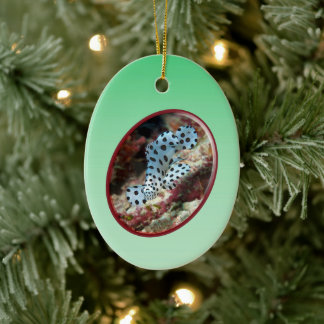 Young Grouper - Oval Photographic Design of Fish | Ceramic Ornament