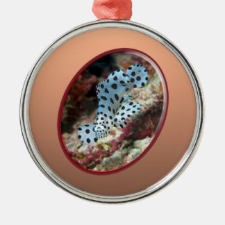 Young Grouper - Oval Photographic Design of Fish | Metal Ornament