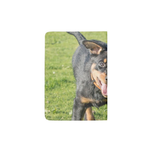 Young happy Beauceron sheepdog running in the gras Passport Holder (Back)