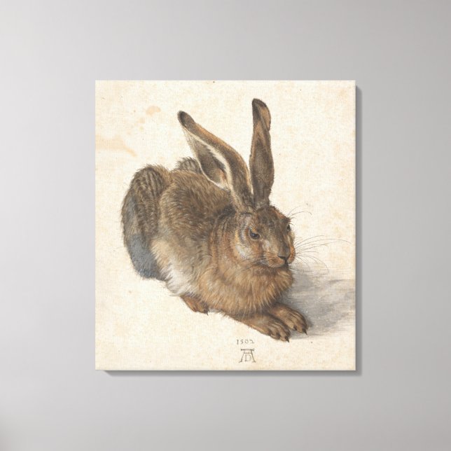 Young Hare Albrecht Durer Canvas Print (Front)