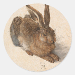 Young Hare Albrecht Dürer Classic Round Sticker