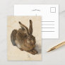 Young Hare | Albrecht Dürer Postcard