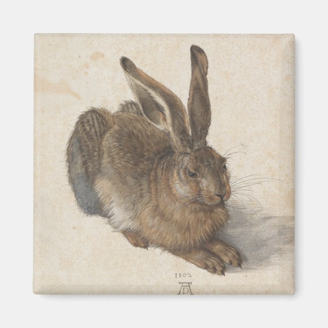 Young Hare by Albrecht Durer Magnet (Front)