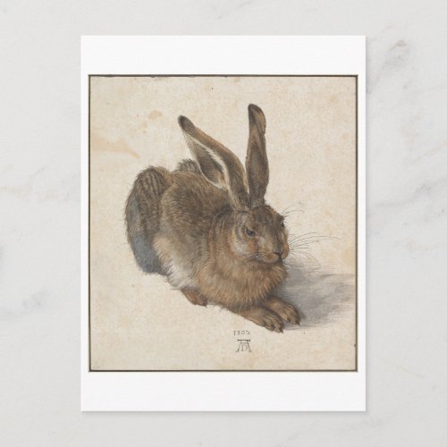 Young Hare by Albrecht Durer Postcard