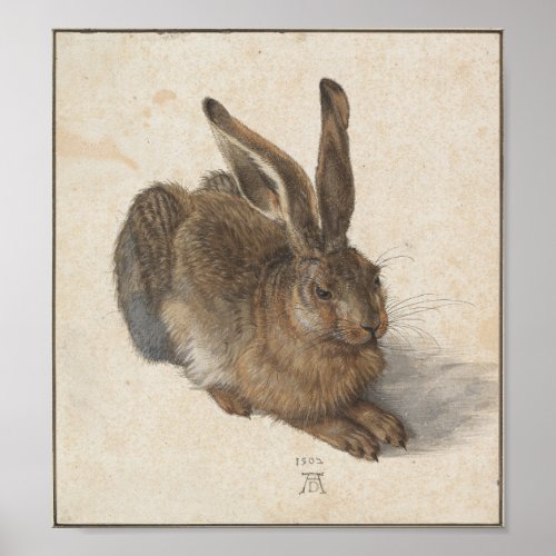 Young Hare by Albrecht Durer Poster