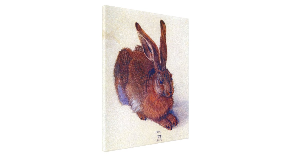 Young Hare by Albrecht Durer, Renaissance Fine Art Canvas Print | Zazzle