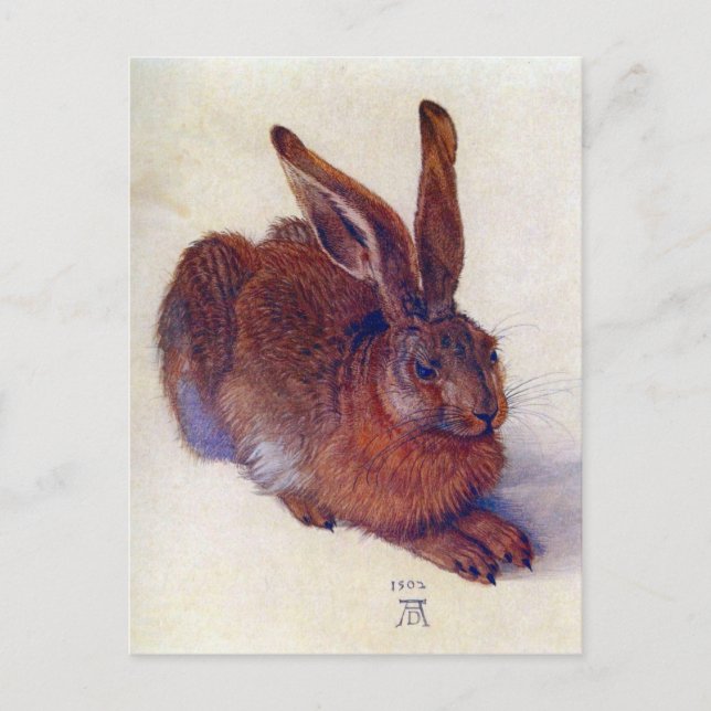 Young Hare by Albrecht Durer, Renaissance Fine Art Postcard (Front)
