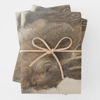 Young Hare by Albrecht Durer, Renaissance Fine Art Wrapping Paper Sheets