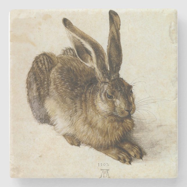 ‘Young Hare’ by Albrecht Dürer Square Stone Coaster (Front)