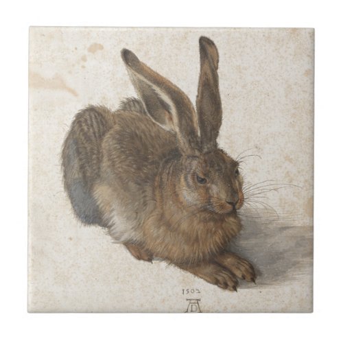 Young Hare by Albrecht Durer Tile