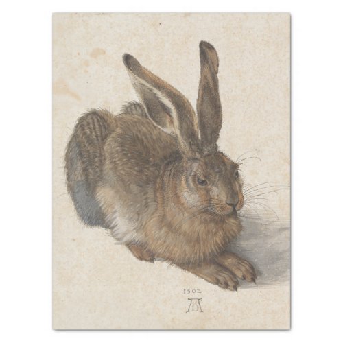 Young Hare by Albrecht Durer Tissue Paper