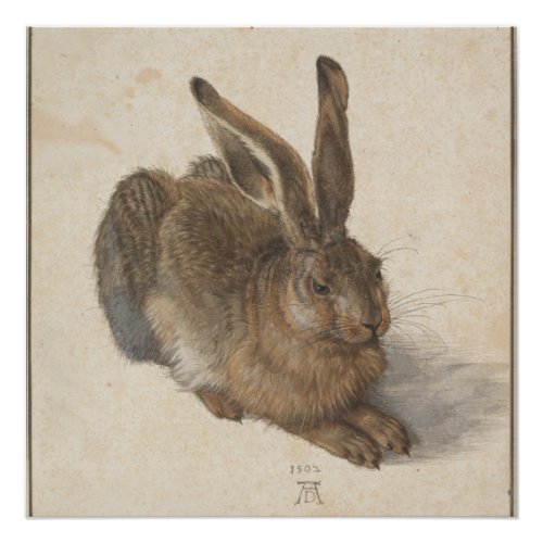 Young Hare Durer 1502 Poster