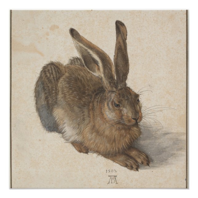 Young Hare (Durer 1502) Poster (Front)