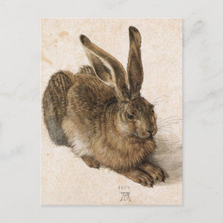 'Young Hare' Postcard