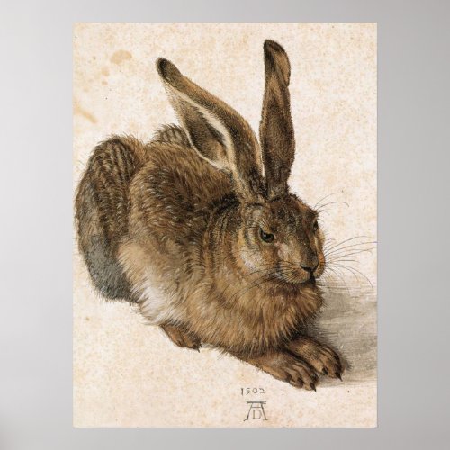 Young Hare Poster