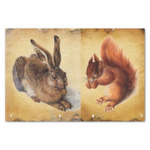 Young Hare Rabbit Squirrel and Nuts Parchment Tissue Paper