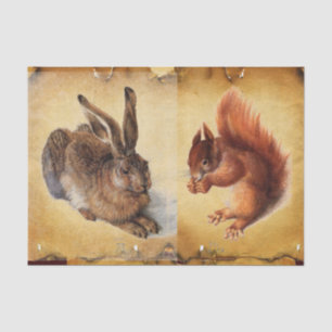Young Hare (Rabbit ),Squirrel and Nuts Parchment Tissue Paper