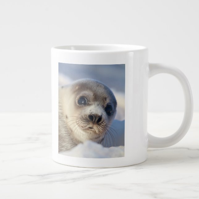 Young Harp Seal Large Coffee Mug (Right)