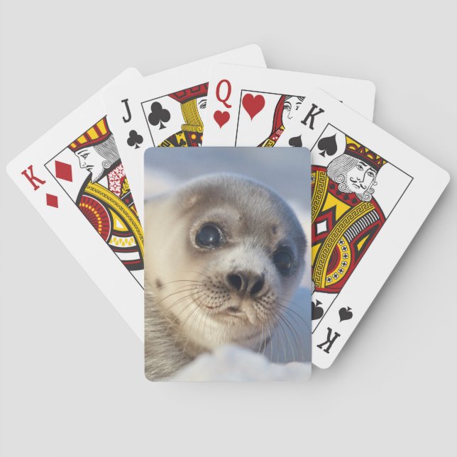Young Harp Seal Poker Cards (Back)
