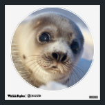 Young Harp Seal Wall Sticker<br><div class="desc">Young harp seal</div>