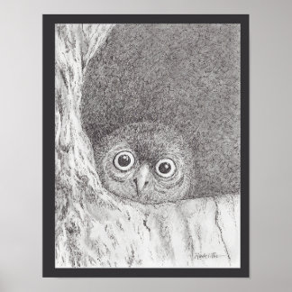 Young Hawk Owl Print