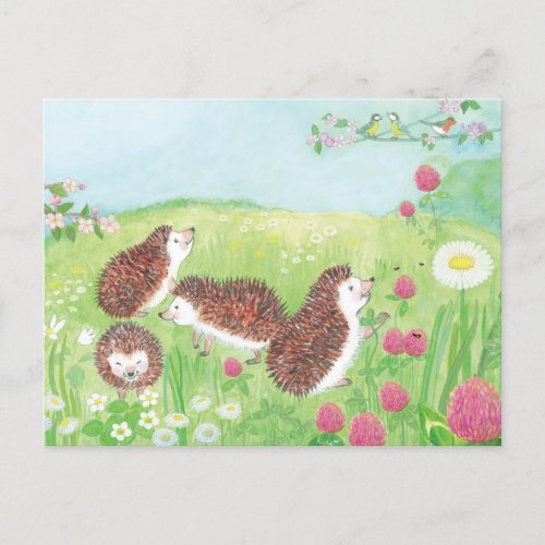 Young Hedgehogs in the Meadow Postcard