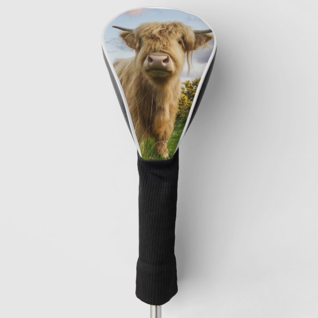 Young Highland Cow Golf Head Cover (Front)