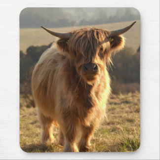 Young Highland Cow Mouse Pad