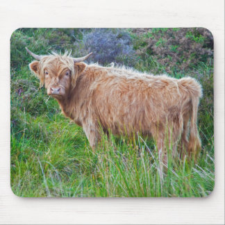 Young Highland Cow Mousemat Mouse Pad