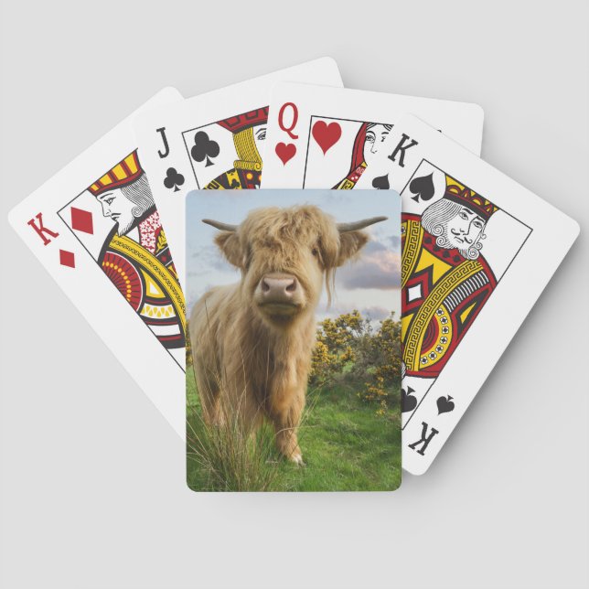 Young Highland Cow Poker Cards (Back)