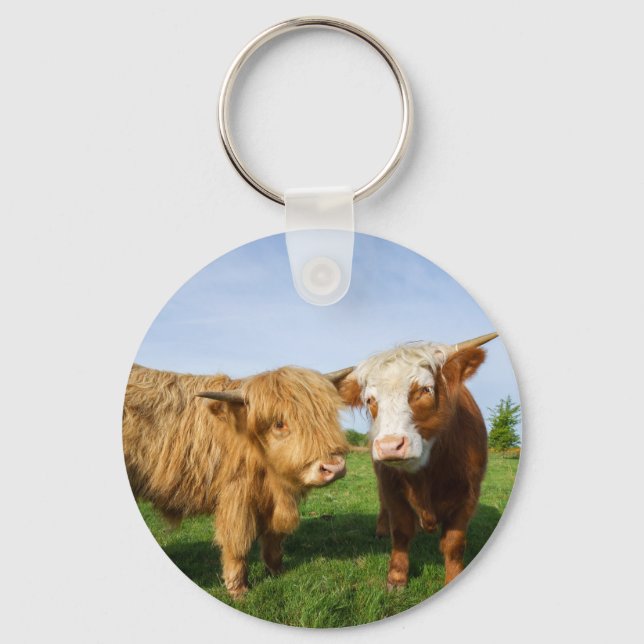 Young Highland Cows Keychain (Front)
