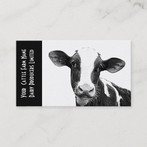 Young Holstein Veal or Dairy Calf Business Card