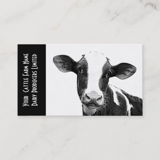 Customizable Young Holstein Veal or Dairy Calf Business Card Template