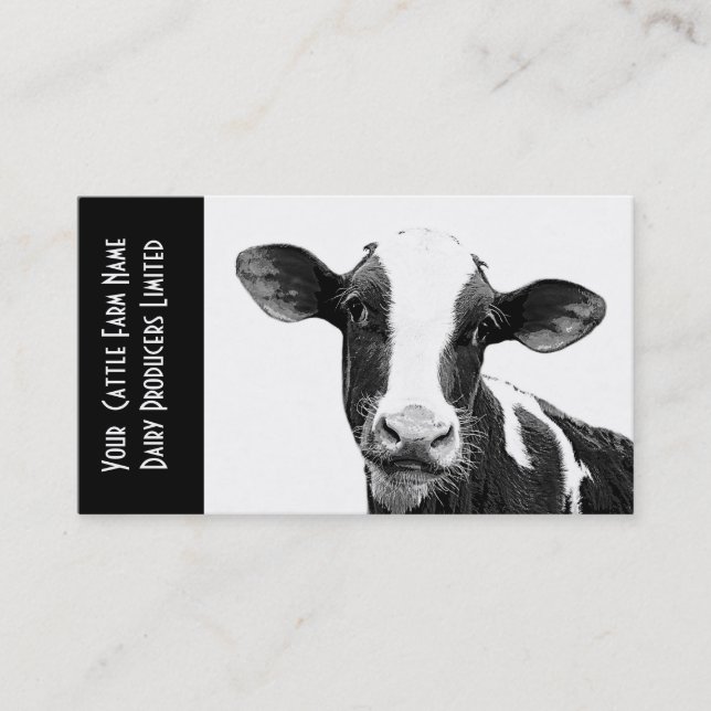 Young Holstein Veal or Dairy Calf Business Card (Front)