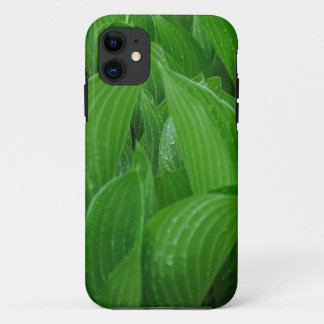 Young Hostas with Raindrops iPhone 11 Case