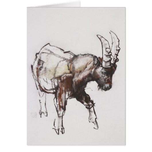 Young Ibex Gran Paradiso 2005 Cards (Front)