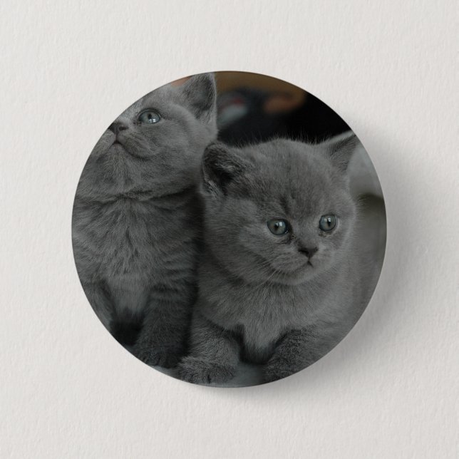 young kitten pet purr meow kitty cute cat button (Front)