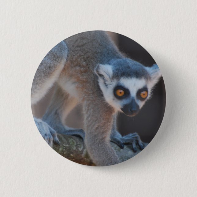 Young Lemur Button (Front)
